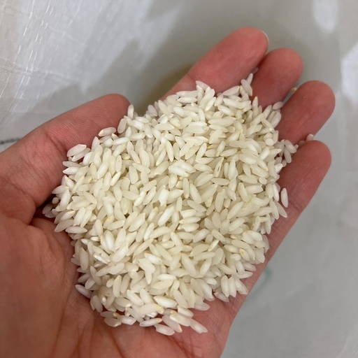 تصویر 5 از قیمت برنج عنبربو شوشتر حاج احمد + خرید باور نکردنی